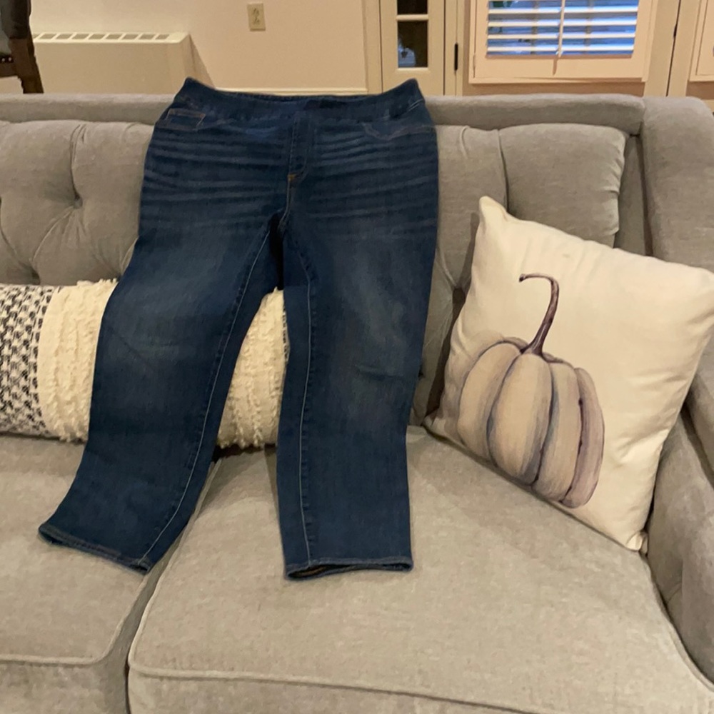 Chico’s Jeggings Ankle 10 Petite/Chicos 1.5 Petite